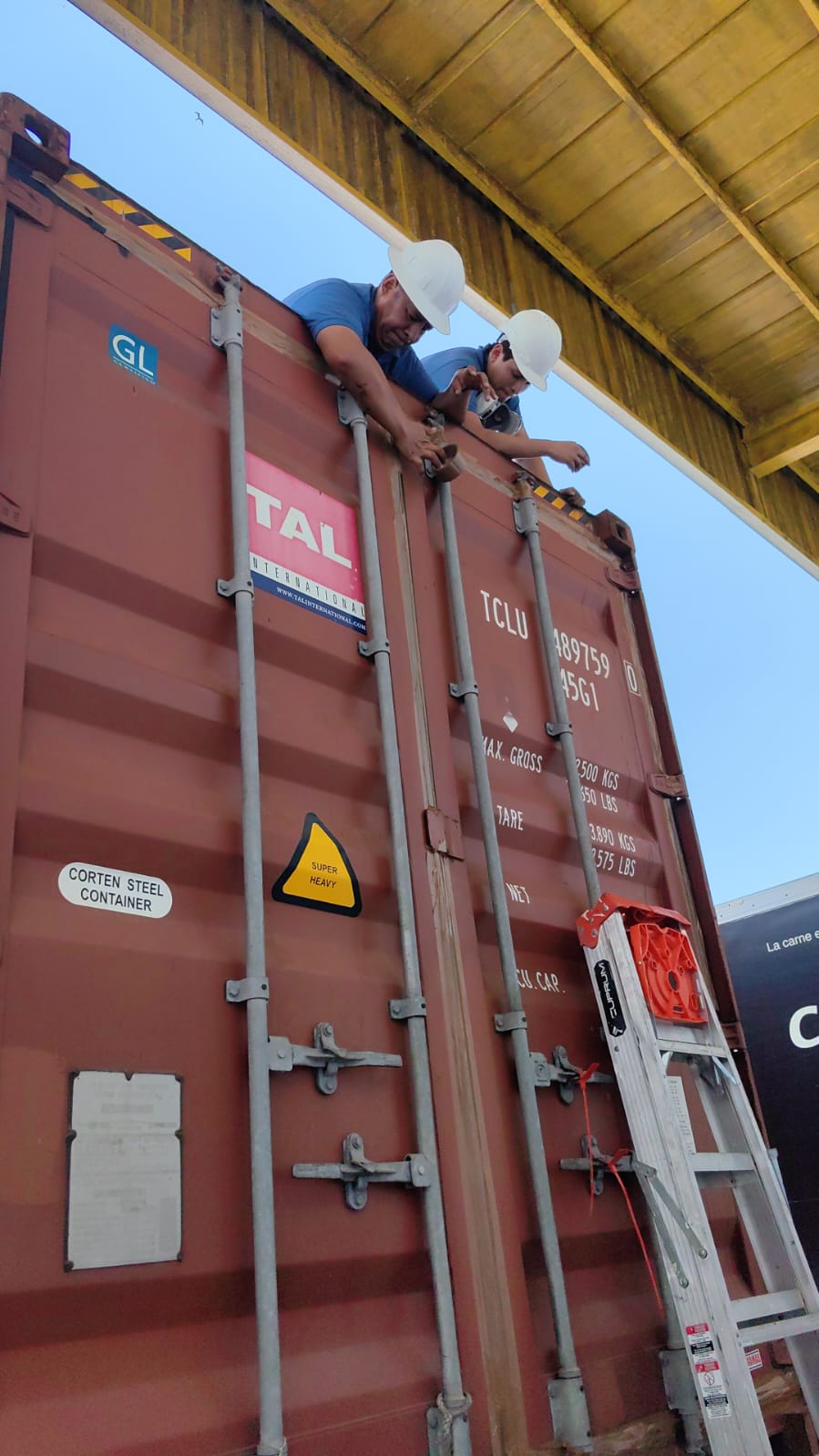 Fumigación en Transporte